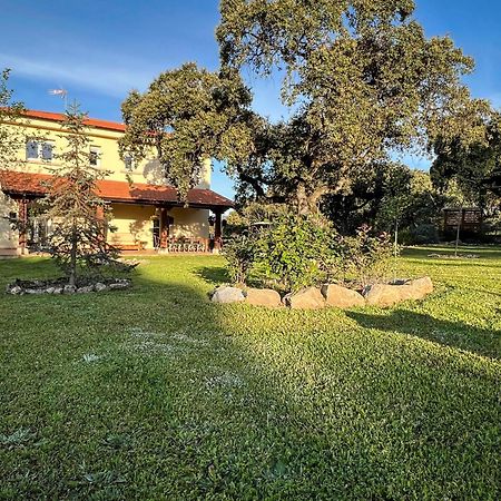 La Encina Guapa Casa Rural 20,000M2 De Intimidad Βίλα La Iglesuela Εξωτερικό φωτογραφία