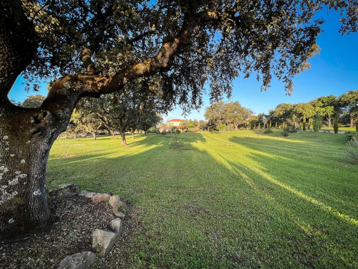La Encina Guapa Casa Rural 20,000M2 De Intimidad Βίλα La Iglesuela Εξωτερικό φωτογραφία