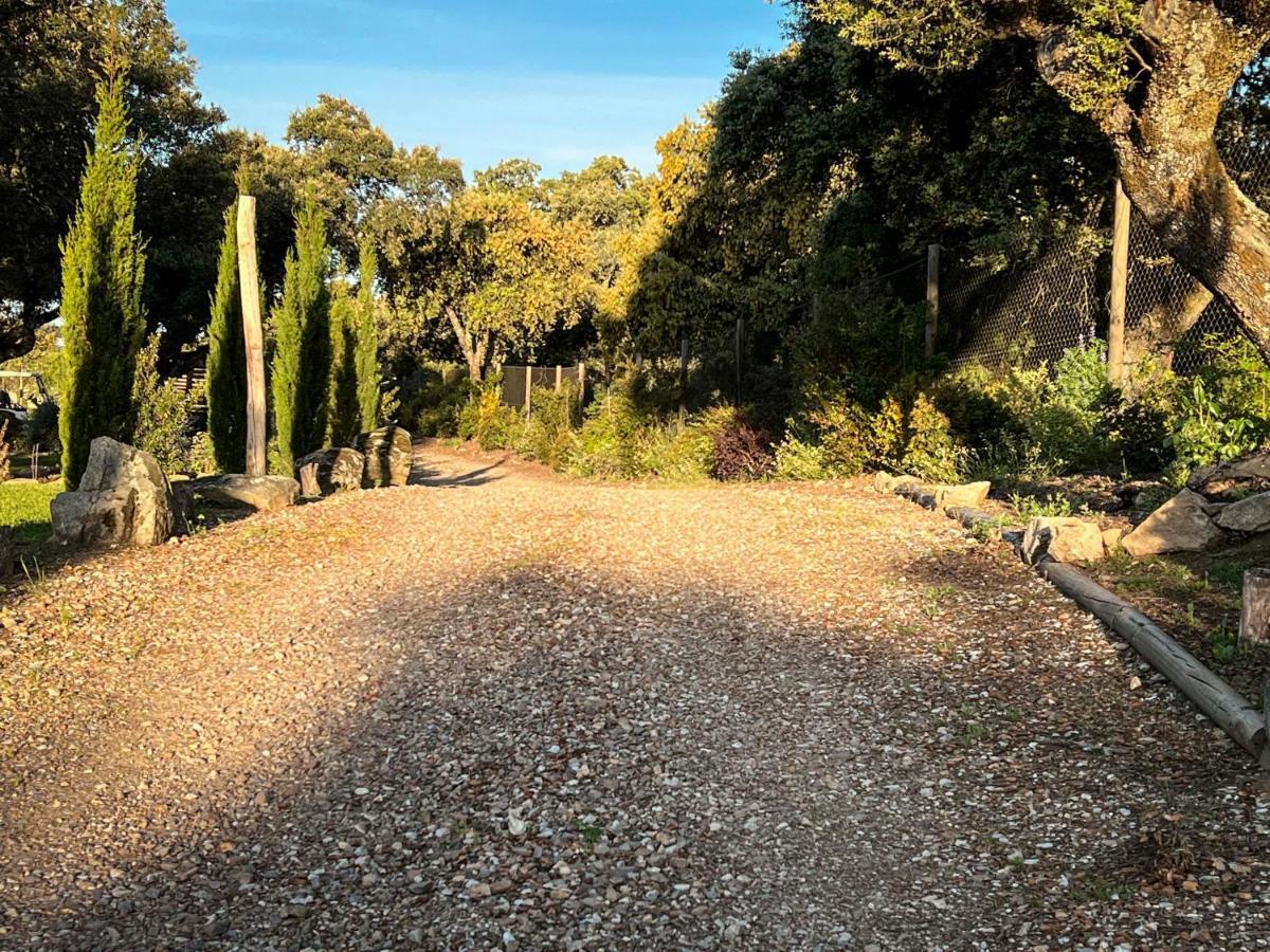 La Encina Guapa Casa Rural 20,000M2 De Intimidad Βίλα La Iglesuela Εξωτερικό φωτογραφία