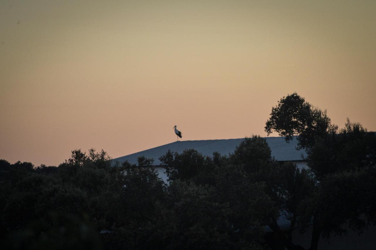 La Encina Guapa Casa Rural 20,000M2 De Intimidad Βίλα La Iglesuela Εξωτερικό φωτογραφία